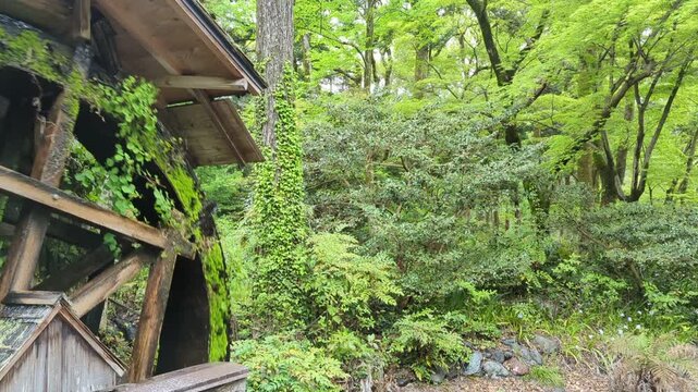 Traditional wooden waterwheel spinning in lush green Japanese forest during summer