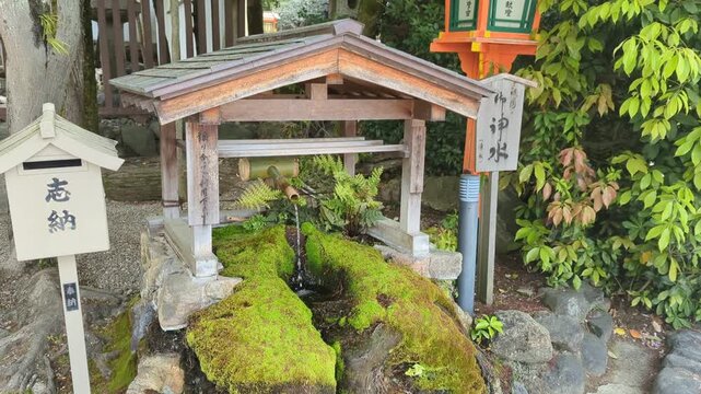 Traditional Japanese shrine purification fountain with bamboo spout and moss-covered rocks in autumn