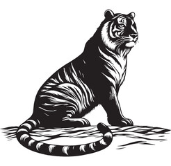 Fototapeta premium tiger majestic fierce wild animal jungle striped power full hunting roaring endangered carnivore nature safari orange black wild life strength forest beast fast animal fearless animal.