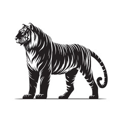 Fototapeta premium tiger majestic fierce wild animal jungle striped power full hunting roaring endangered carnivore nature safari orange black wild life strength forest beast fast animal fearless animal.