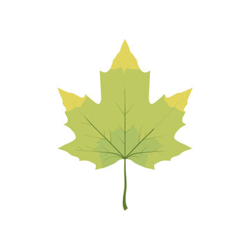 A single, stylized green maple leaf with yellow tips, isolated on a white background, representing autumn.