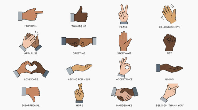 Hand Gestures for Various Emotions and Actions on a White Background