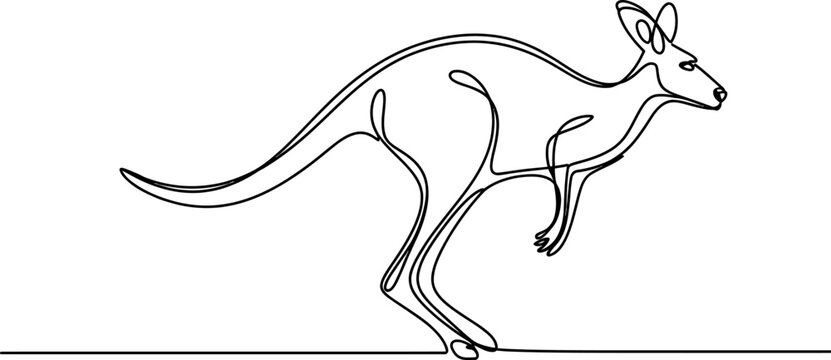 Continuous single line drawing of a jumping kangaroo showing the iconic silhouette of the australian animal in a minimalist art style design Vector, illustration