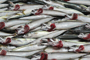 Fototapeta premium Fresh fish piled on a market stall by the ocean