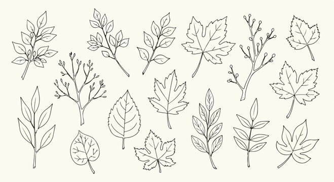 Hand drawn botanical leaf sketches, collection of 15 minimalist foliage line art vectors, vintage autumn leaves and tree branches for wedding invitations