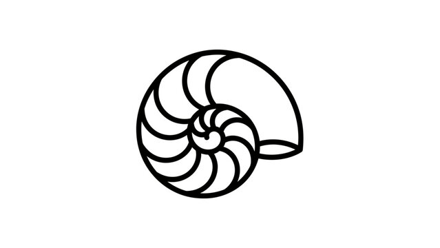 Stylized nautilus shell with swirling chambers, a classic spiral design