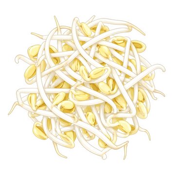 ラーメントッピング用もやしのリアルなベクターイラスト｜豆もやし 野菜 中華食材