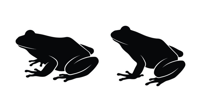 Frog silhouettes two black amphibian shapes on a white background