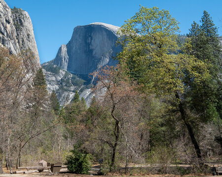View of Half Dome in Yosemite National Park