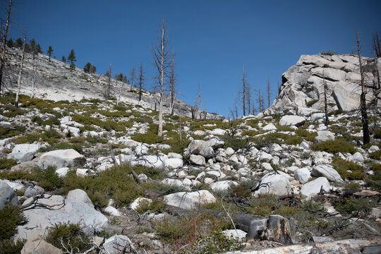 Trekking through rocky terrain in a mountainous area with sparse vegetation on a clear day