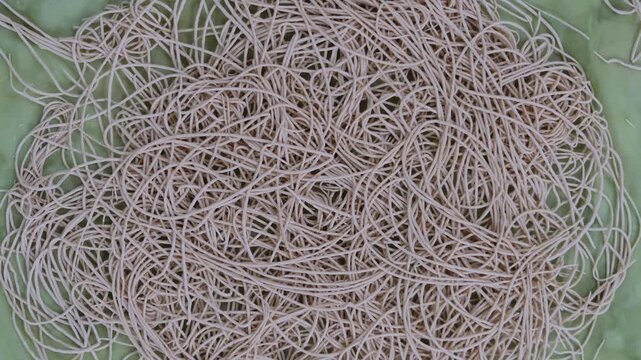 Top view of traditional handmade raw noodles drying on a green cloth
