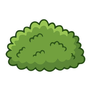 Nature Element