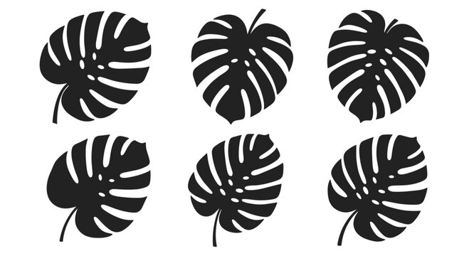 Set of six black silhouettes of monstera deliciosa leaves in different shapes and orientations for botanical design.