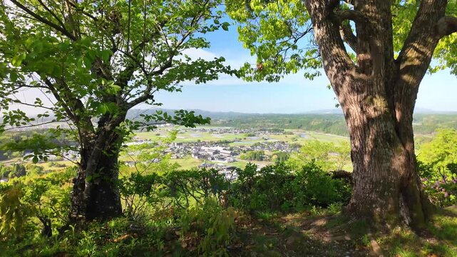 日輪寺つつじ公園から見える町並み