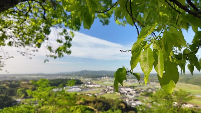 日輪寺つつじ公園から見える町並み