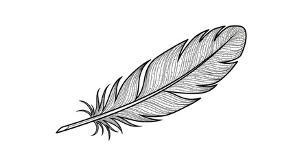 Obraz premium Delicate black ink feather with fine lines and speckles on white