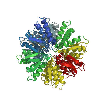 3D Molecular Structure of Protein Hexamer, Scientific Illustration