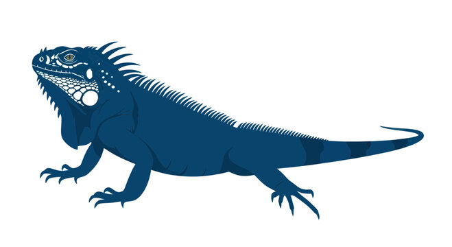 Blue Iguana Illustration - Reptile Wildlife