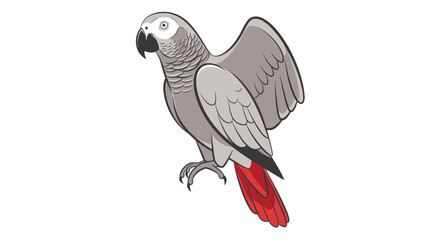 African Grey Parrot Isolated on White Background, Wings Spread © Suyat