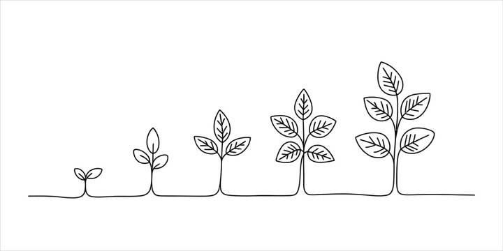 Hand drawn doodle of plant life cycle showing small sprout growing into a tall tree step by step in a simple black ink line art illustration style Vector, illustration