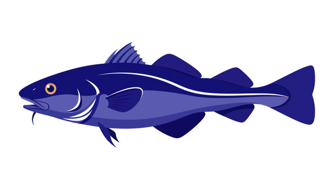 Illustration of a blue cod fish on a white background