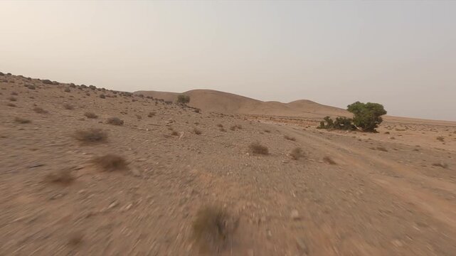 FPV drone flight over barren, rocky desert landscape near Tan-Tan, Morocco. Aerial, copy space