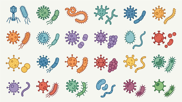 Colorful Virus and Bacteria Paired Icon Set - Outline Cartoon Collection of Bacteriophage Coronavirus Spirochete Flagellated Bacillus Icosahedral Staphylococcus Cocci and Various Microorganism