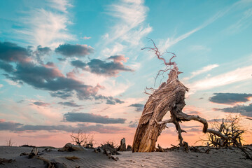 Ruins of a city buried in the desert © 浩 常