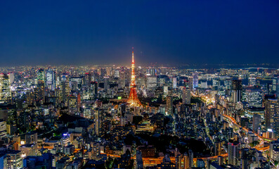 Fototapeta premium panoramic, tourist attractions in the city park of Tokyo City, Asia business concept image, panoramic modern cityscape building in Japan.The most beautiful Viewpoint tokyo city, japan. 