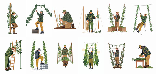 Illustrations of hop farming activities, featuring farmers in camouflage gear performing tasks like harvesting, pruning, and inspecting plants on a hop farm. © ValentinaRestrepo