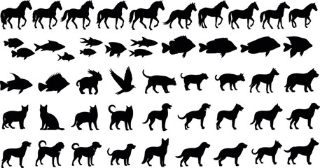 Fototapeta premium Black silhouette collection of horses, fish, dogs, and mixed animals arranged in organized rows for wildlife vector design illustration