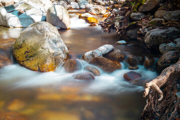 Obraz premium waterfall in autumn