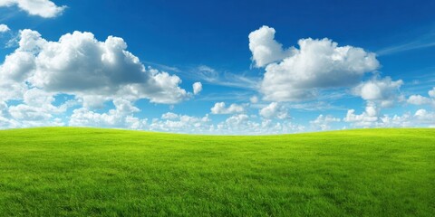 Fototapeta premium The Green Meadow Under a Bright Blue Sky With Puffy White Clouds and Sunlight