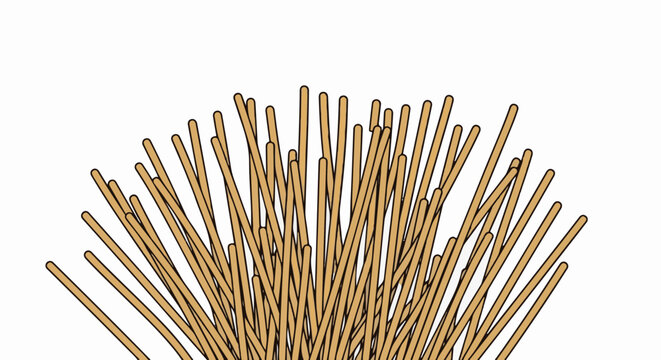 A collection of thin, tan, cylindrical objects with rounded ends, fanned out