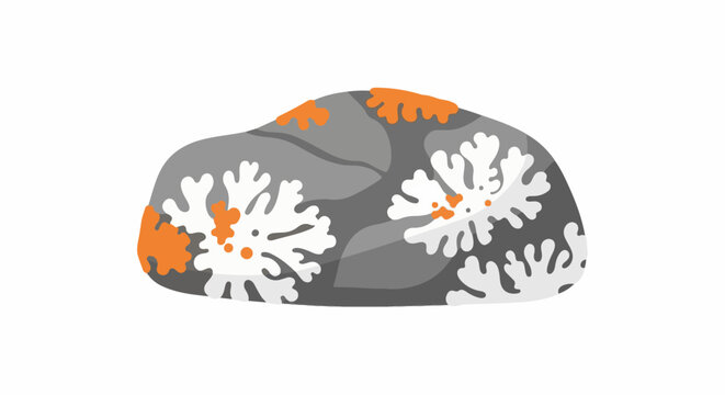 A grey rock with white and orange lichen growth