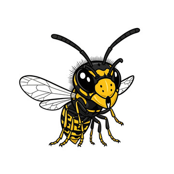 Detailed vector illustration of a yellowjacket wasp character featuring black and yellow stripes, large compound eyes, long antennae, and transparent wings isolated on a white background.