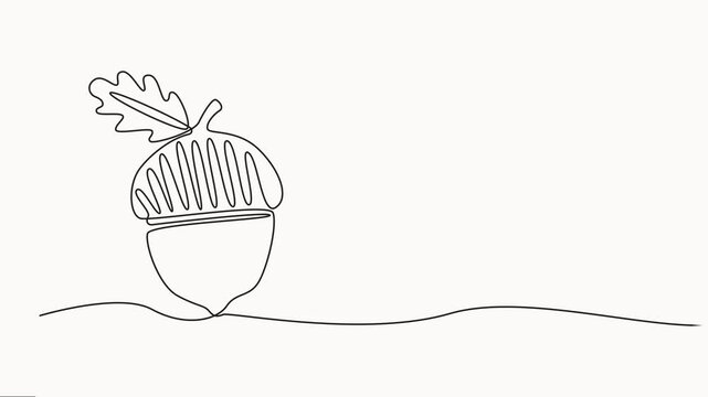 Acorn, oak. Contour drawing, animation. Video object illustration self-drawing. Minimalist continuous line drawing on a white background., Oak Nut Seed Illustration, Full length single line animation.