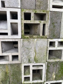 mossy wall roster, concrete block 