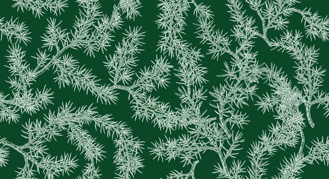 Elegant seamless pattern with white hand drawn juniper branches and needles set against a deep forest green background for winter.