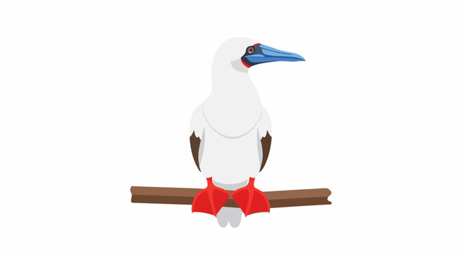 A white bird with red feet and blue beak sits on a brown branch
