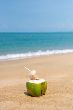 Vertical image of a fresh coconut on the beach with blue sky background