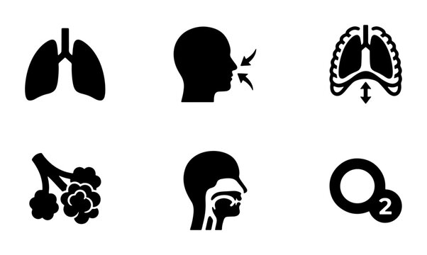Respiratory System Icons, Lung Anatomy and Breathing Process Symbols, Medical Health Care Vector Graphics