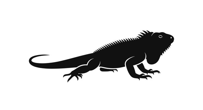 Black silhouette of lizard.