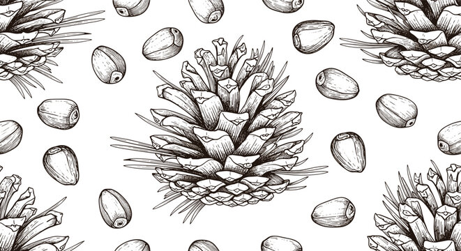 Seamless monochrome pattern featuring various pine cones and scattered pine nuts as a detailed botanical sketch.