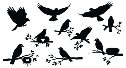 Obraz premium Bird Silhouettes Collection: Flying, Perching, Nests on Branches, White Background