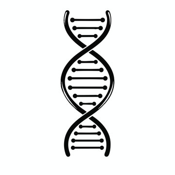 DNA double helix structure, genetic spiral symbol, biology icon, molecular model