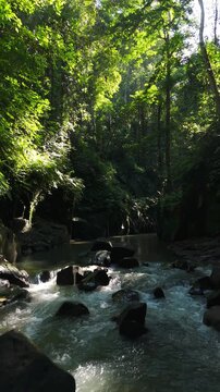 Vertical view of a lush tropical river flowing through Tukad Beng Canyon near Kanto Lampo Waterfall in Bali, with jungle light, rocks, and rushing water.
