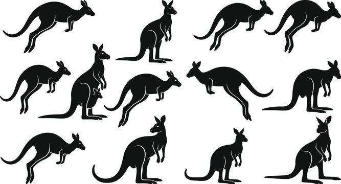 Kangaroo Silhouette Collection with Jumping and Standing Australian Wildlife Poses for Nature Graphic Design Projects