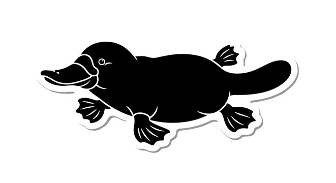 Black Duck Animal Illustration.