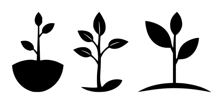 Micro-investment seed icon set with solid black symbol on white background featuring finance, investment, iconography with minimalist line art and simple vector